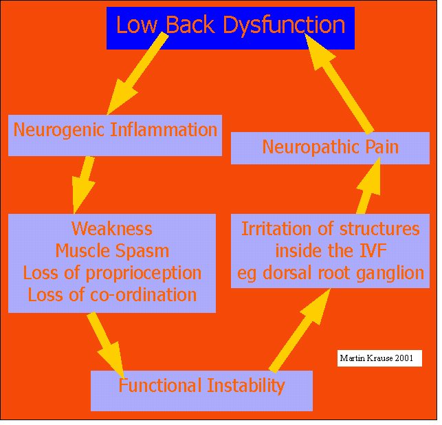 chronic low back pain