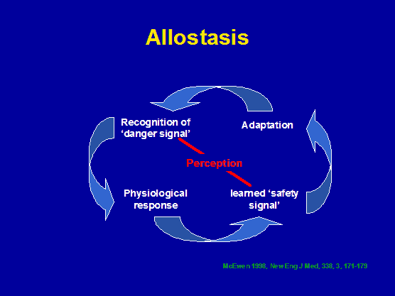allostasis