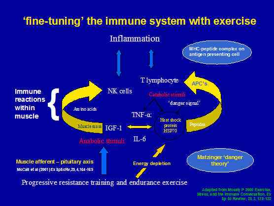 Endurance training
