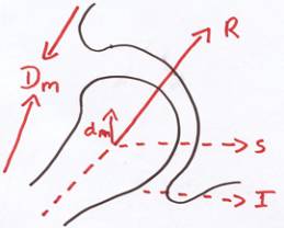 Muscular reactive forces to the pull of deltoid