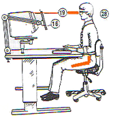 Workstation Ergonomics 